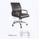 FERRE-M-CR-290x300 subaru