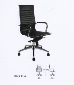 LINK-LCA-262x300
