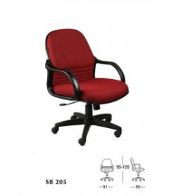 SB-205-300x300