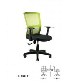 HAKU-T-300x300