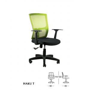 HAKU-T-300x300